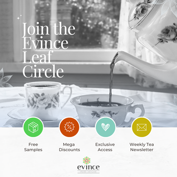 Evince &amp; Co Leaf Circle