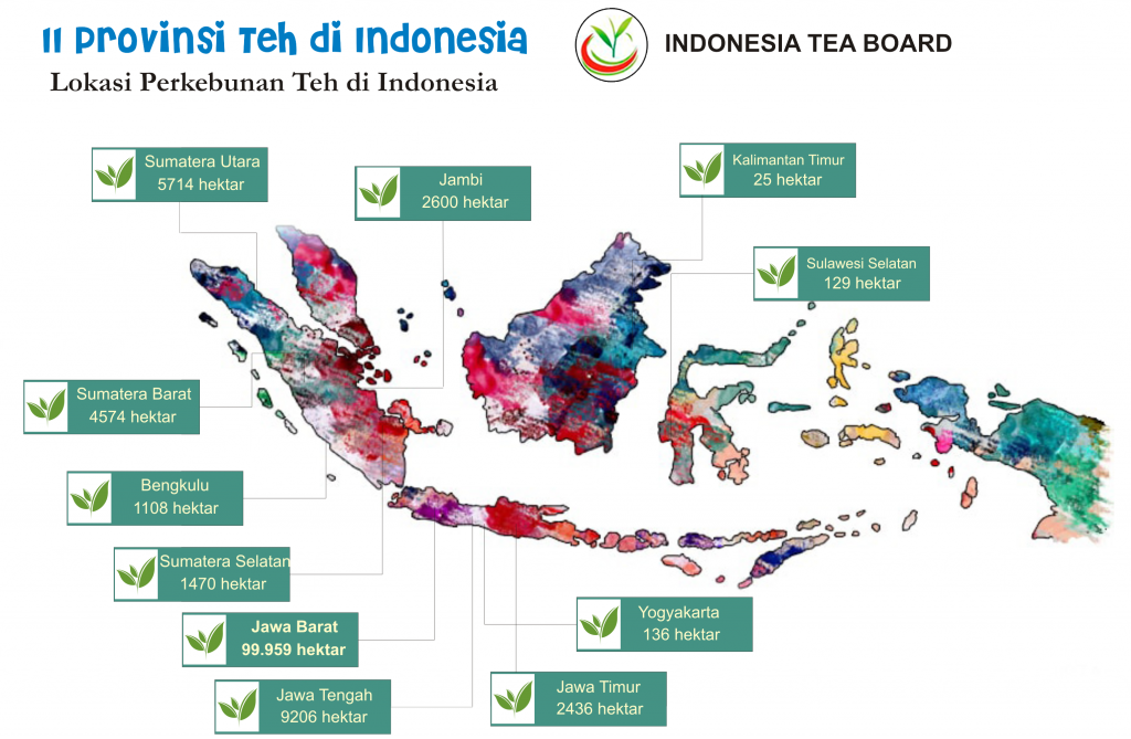 tj2_art_harvest16_indonesia_teagrowingregions_teaboard