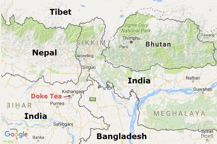 Doke is located near Kishanganj (the chicken neck) a new tea-growing regions surrounded by Araria to the West, Purnia to the South-west, Uttar Dinajpur on the East and Darjeeling and Nepal to the North. It only about 20 km from Bangladesh. Bihar state was part of Nepal until 1840 are remains home to many native tribes.