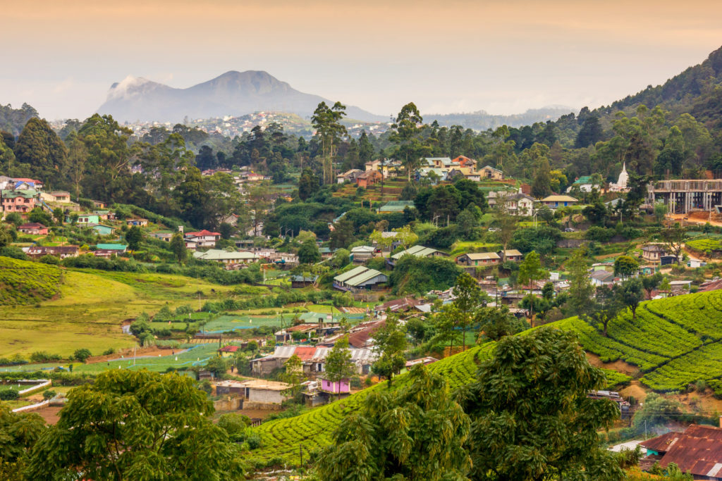 Sri Lanka is both a tea lover's and traveler’s paradise.