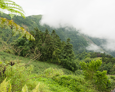 Shizhao, Taiwan by 4 p.m.