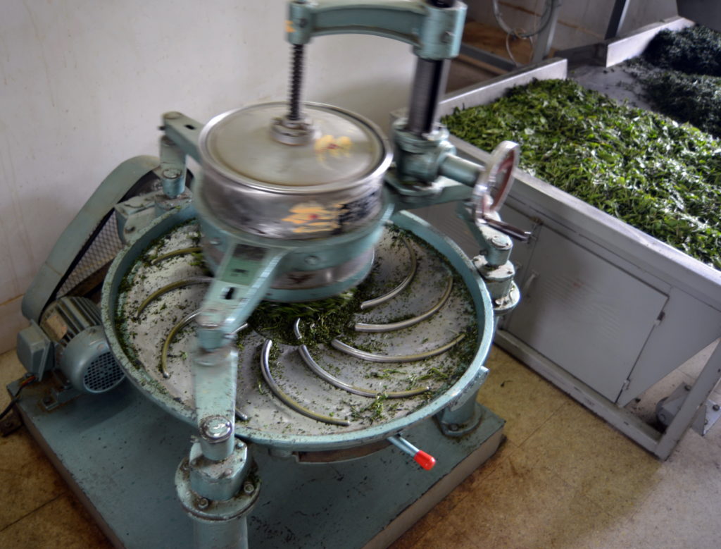 Chinese-style Tea Roller, Billimalai
