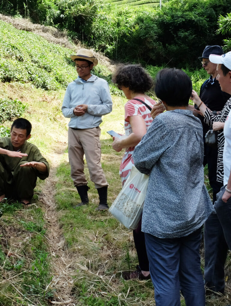 Garden tour, Japan