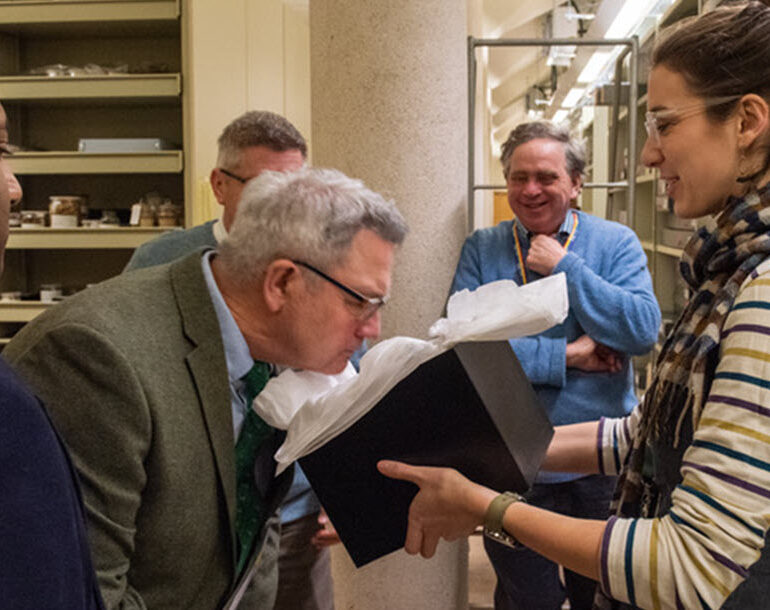 Economic Botany Collection, Kew