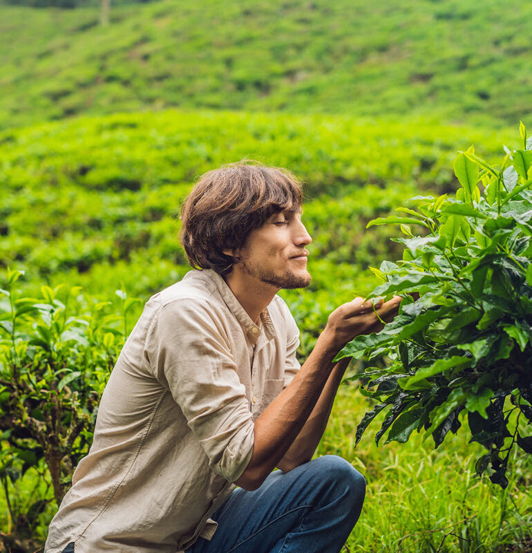 Sustainable Tea Tourism