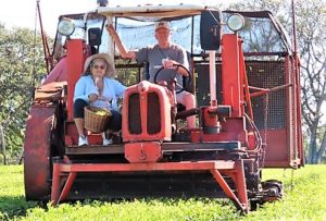 Irma Fraga rides the harvester