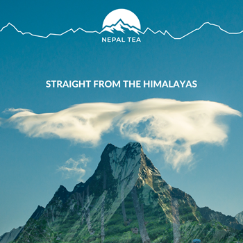 Straight from the Himalayas square: https://bit.ly/3UIsz50