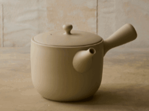 Buzoku Kyusu Teapot
