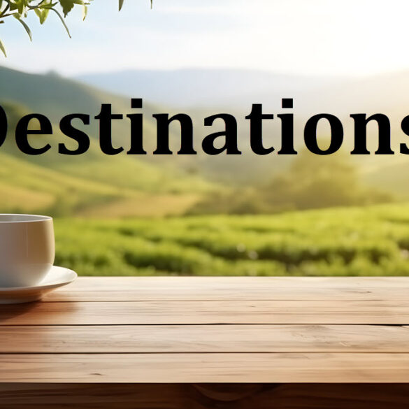Tea Travel Destinations