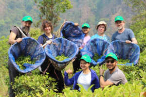 Nepal Tea Collective Immersive Tours