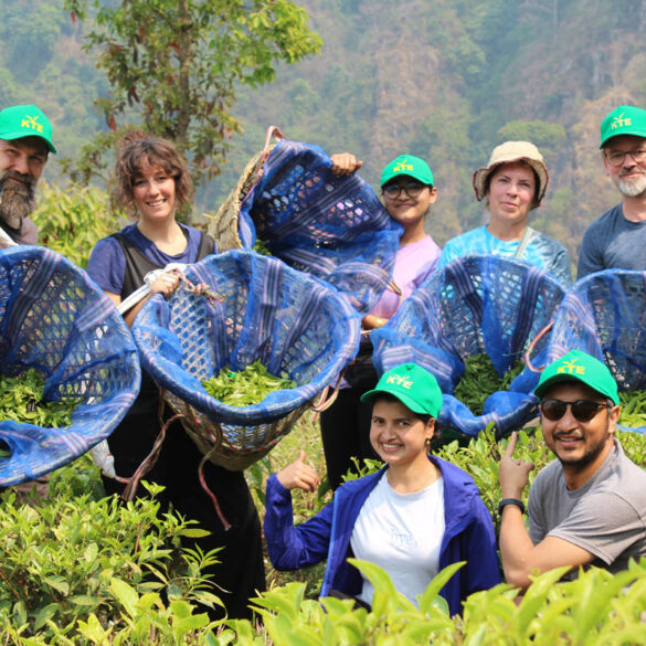 Nepal Tea Collective Immersive Tours