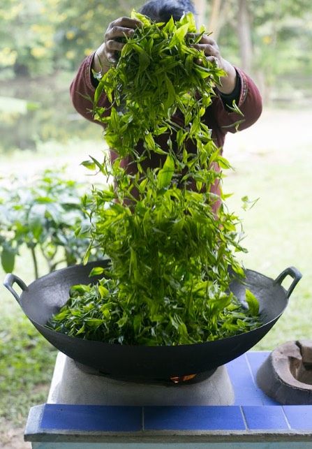 Thai woman roasting the Araksa Preserve organic green tea
