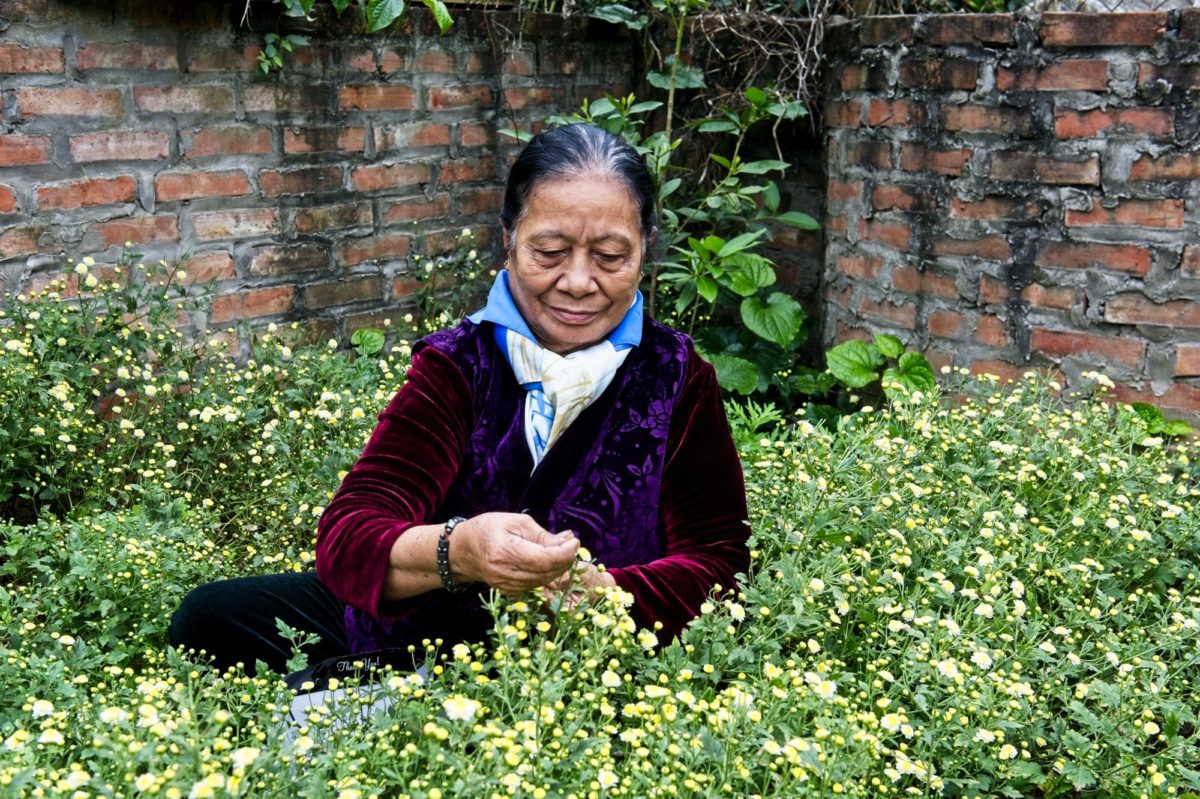 Woman in Hanoi making flower teas for Hatvala. 