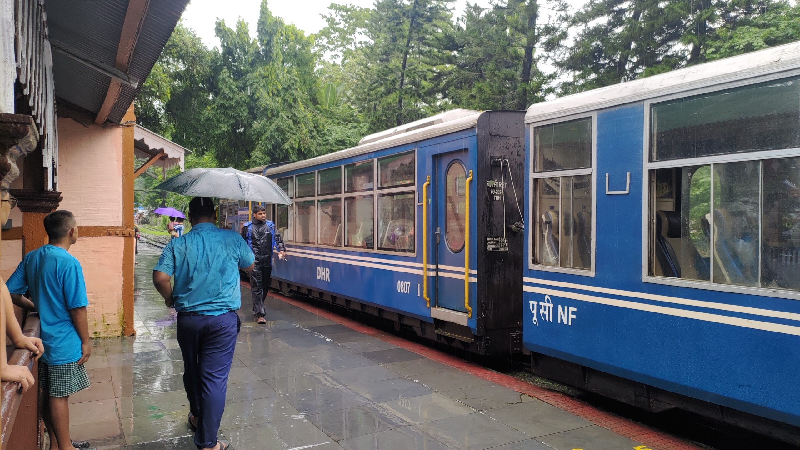 Journeying on the Darjeeling Train - Tea Journey