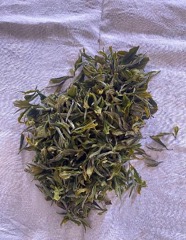 One of the first white tea made by Lucas