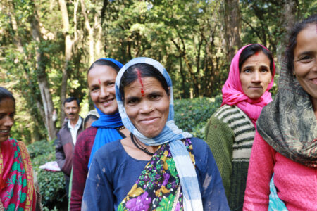 Kumaon tea farmers