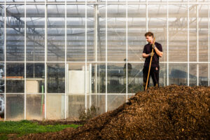 Les Plantations D’Acapella