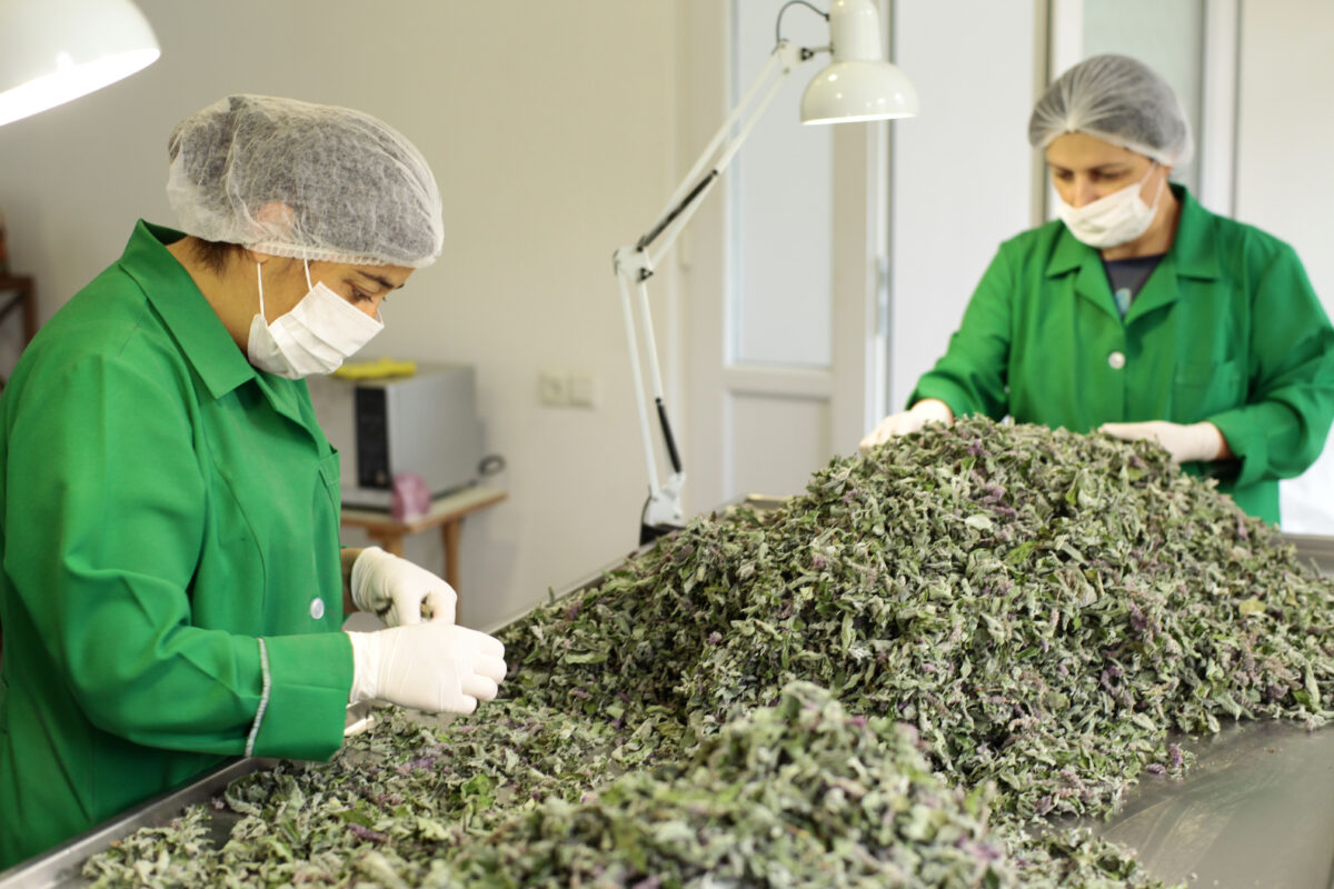 Armenian Herbal Tea