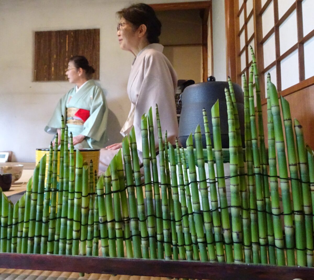 Symbolic barrier created using horsetail plants in Urasenke Tea Ceremony