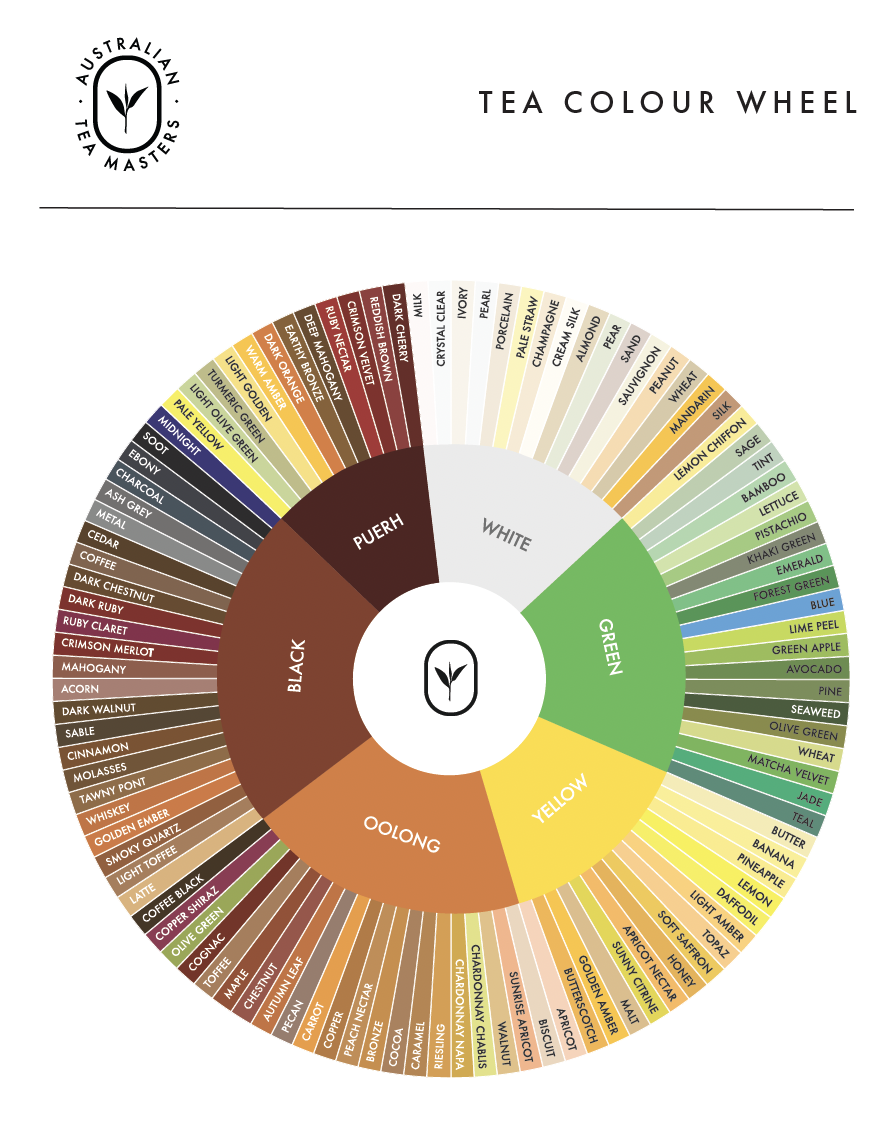 Tea Color Wheel Revolutionizing Tea Education Tea Journey