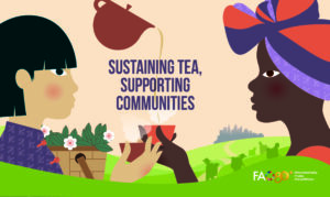 UN FAO International Tea Day