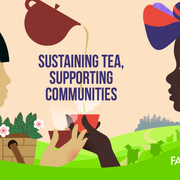UN FAO International Tea Day