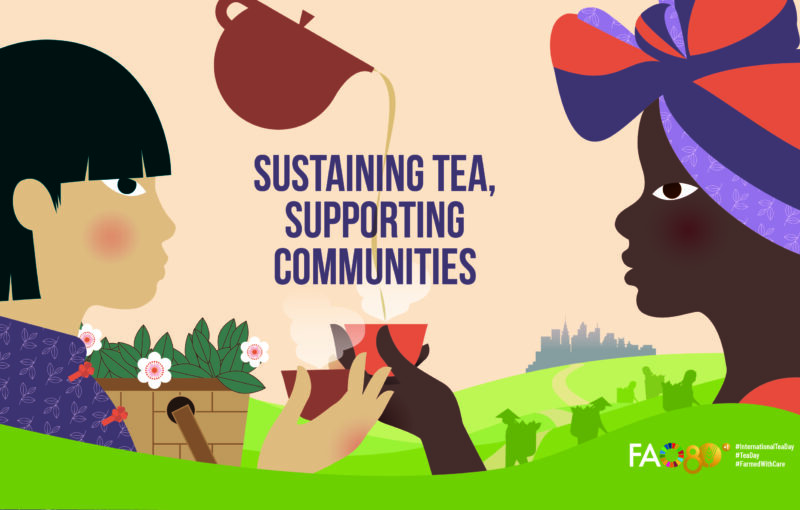 UN FAO International Tea Day