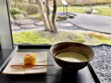 Matcha Calm Mindfulness