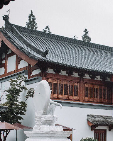 Jingshan China Matcha