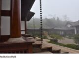 Jingshan Matcha