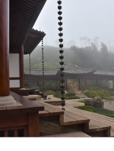 Jingshan Matcha