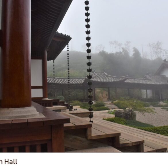Jingshan Matcha