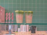 Matcha in social media