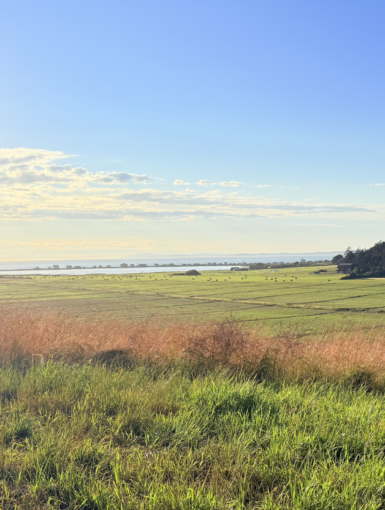 Vale Farms with vide of ocean