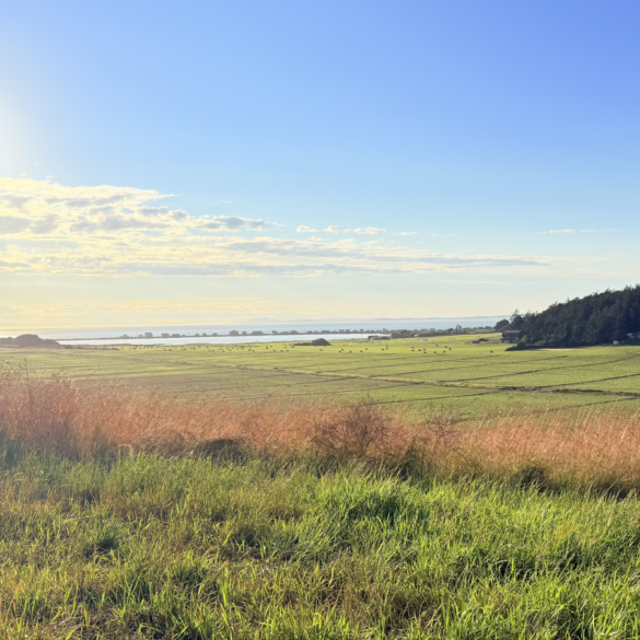 Vale Farms with vide of ocean