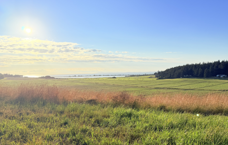 Vale Farms with vide of ocean